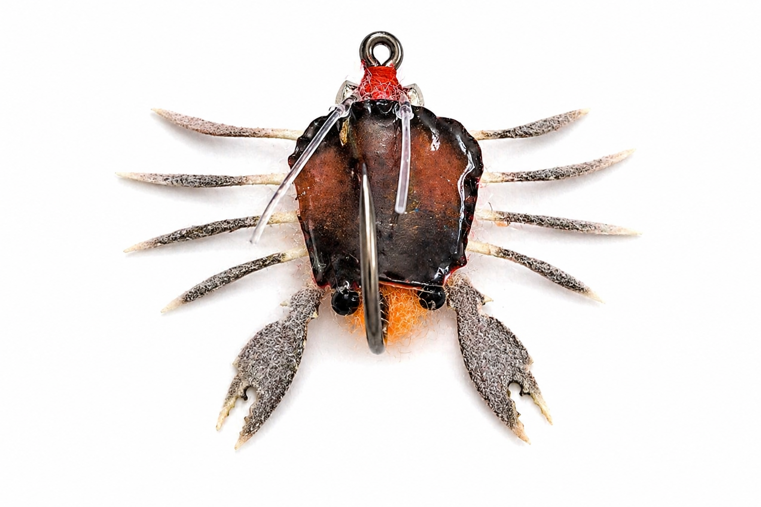 Sand Crab Small Fly