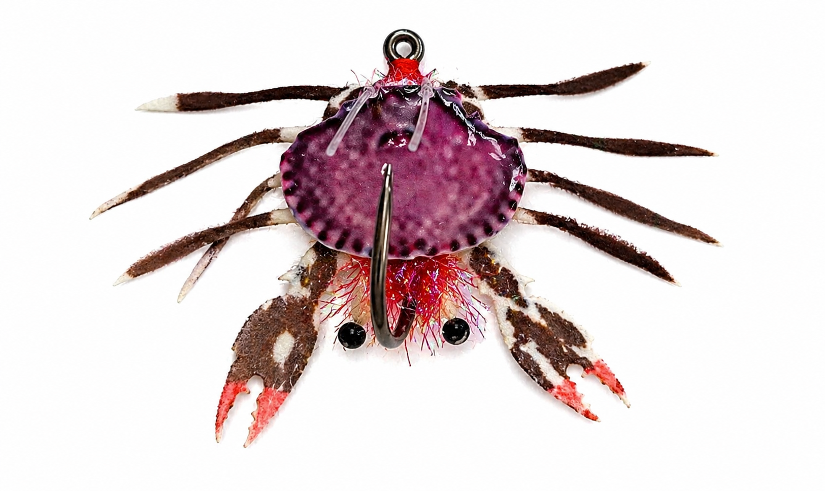 Sand Crab Fly